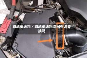 霸道变速箱／霸道变速箱滤网有必要换吗