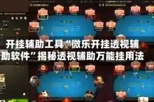 开挂辅助工具“微乐开挂透视辅助软件”揭秘透视辅助万能挂用法
