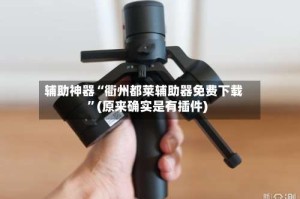 辅助神器“衢州都莱辅助器免费下载”(原来确实是有插件)