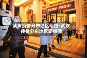武汉疫情分布地区明细/武汉疫情分布地区明细图