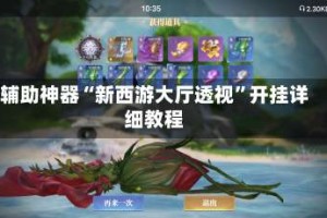 辅助神器“新西游大厅透视”开挂详细教程