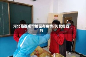 河北临西哪个地区有疫情/河北临西的