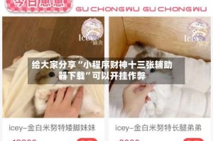 给大家分享“小程序财神十三张辅助器下载”可以开挂作弊