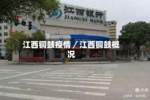 江西铜鼓疫情／江西铜鼓概况