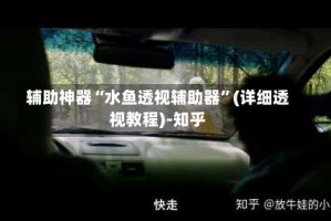 辅助神器“水鱼透视辅助器”(详细透视教程)-知乎
