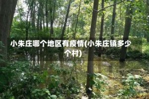 小朱庄哪个地区有疫情(小朱庄镇多少个村)
