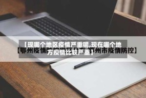 【现哪个地区疫情严重呢,现在哪个地方疫情比较严重】