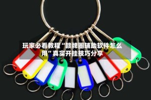 玩家必看教程“赣牌圈辅助软件怎么用”真实开挂技巧分享