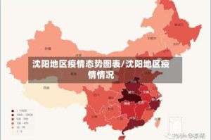 沈阳地区疫情态势图表/沈阳地区疫情情况