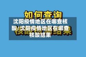 沈阳疫情地区在哪查核酸/沈阳疫情地区在哪查核酸结果