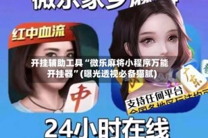 开挂辅助工具“微乐麻将小程序万能开挂器”(曝光透视必备猫腻)