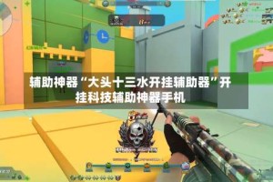 辅助神器“大头十三水开挂辅助器”开挂科技辅助神器手机