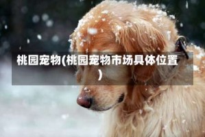 桃园宠物(桃园宠物市场具体位置)