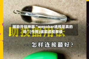 辅助开挂神器“wepoker透视是真的吗”(作弊)辅助透视教程
