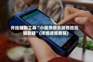 开挂辅助工具“小程序微乐陕西挖坑辅助器”(详细透视教程)