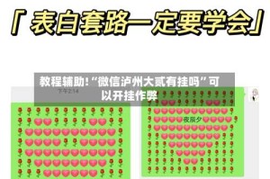 教程辅助!“微信泸州大贰有挂吗”可以开挂作弊