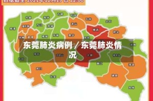 东莞肺炎病例／东莞肺炎情况