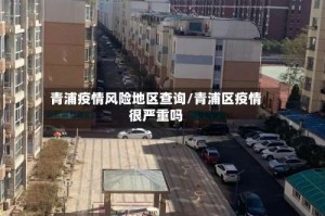 青浦疫情风险地区查询/青浦区疫情很严重吗