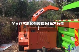 今日花木地区有疫情吗(花木行情)
