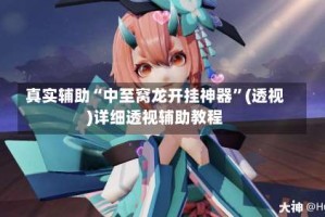 真实辅助“中至窝龙开挂神器”(透视)详细透视辅助教程