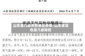 山东是几级预警地区疫情/山东省现在是几级防控