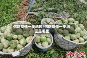 信阳疫情一类地区/信阳疫情一类地区是哪里