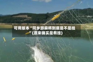 可用版本“同乡游麻将到底是不是挂”(原来确实是有挂)