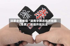 玩家必看教程“湖南字牌透视开挂器(免费)”详细开挂玩法