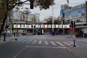 石家庄封城了吗(石家庄石家庄封城)