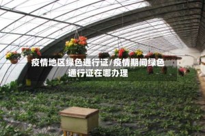 疫情地区绿色通行证/疫情期间绿色通行证在哪办理