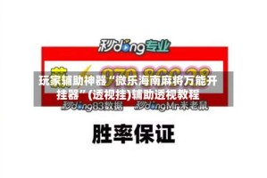 玩家辅助神器“微乐海南麻将万能开挂器”(透视挂)辅助透视教程