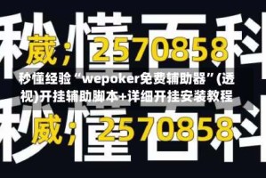 秒懂经验“wepoker免费辅助器”(透视)开挂辅助脚本+详细开挂安装教程
