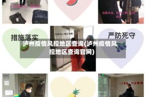 泸州疫情风控地区查询(泸州疫情风控地区查询官网)