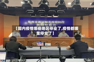【国内疫情哪些地区停业了,疫情都哪里停业了】