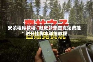 安装程序教程“旺旺梦想杰克免费挂”附开挂脚本详细教程