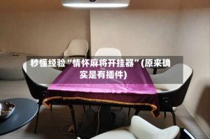 秒懂经验“情怀麻将开挂器”(原来确实是有插件)