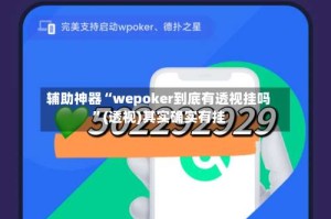 辅助神器“wepoker到底有透视挂吗”(透视)其实确实有挂