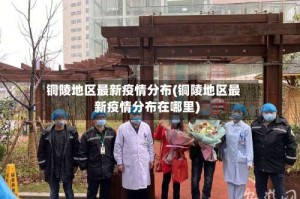 铜陵地区最新疫情分布(铜陵地区最新疫情分布在哪里)