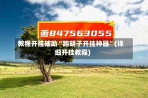 教程开挂辅助“跑胡子开挂神器”(详细开挂教程)