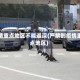 疫情重点地区不能返深(严禁到疫情重点地区)