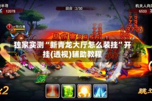 独家实测“新青龙大厅怎么装挂”开挂(透视)辅助教程