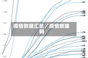 疫情数据汇总／疫情数据网