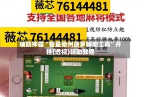 辅助神器“智星德州菠萝辅助工具”开挂(透视)辅助教程