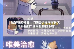 玩家辅助神器：“微信小程序家乡大贰开挂器”原来有神器下载!