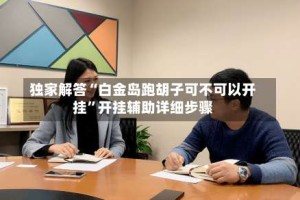 独家解答“白金岛跑胡子可不可以开挂”开挂辅助详细步骤