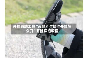 开挂辅助工具“天酷斗牛软件开挂怎么开”开挂详细教程