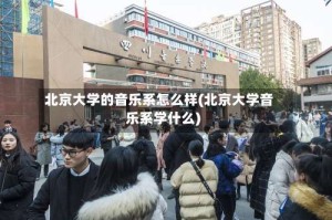 北京大学的音乐系怎么样(北京大学音乐系学什么)