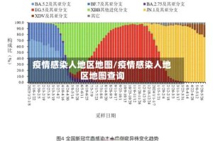 疫情感染人地区地图/疫情感染人地区地图查询