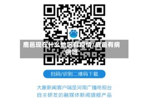 鹿邑现在什么地区有疫情/鹿邑有病例吗