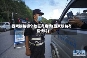 西双版纳哪个地区有疫情(西双版纳有役情吗)